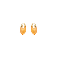 Sun kissed Shell Earrings
