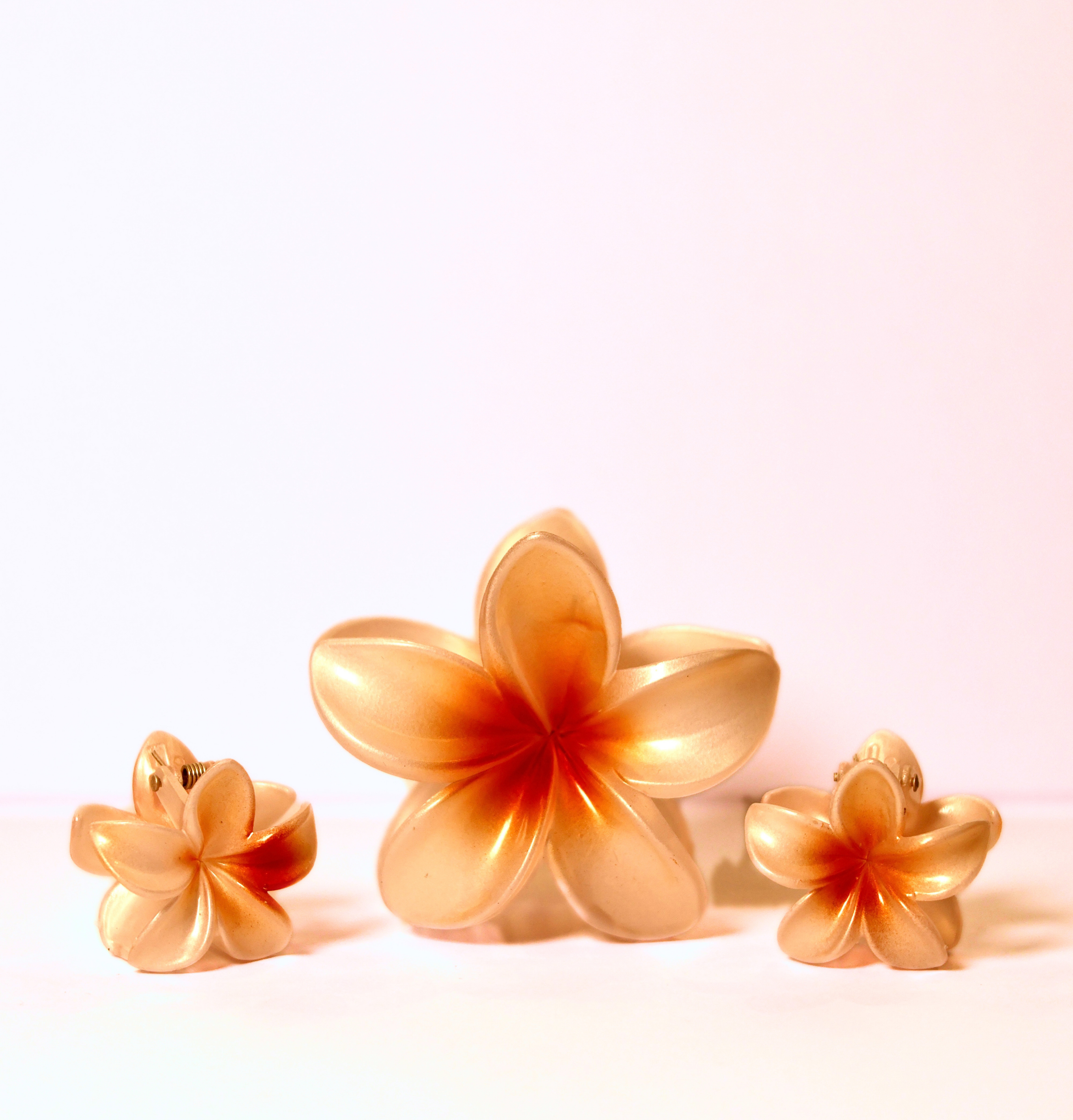 Bloom Flower Clip Set